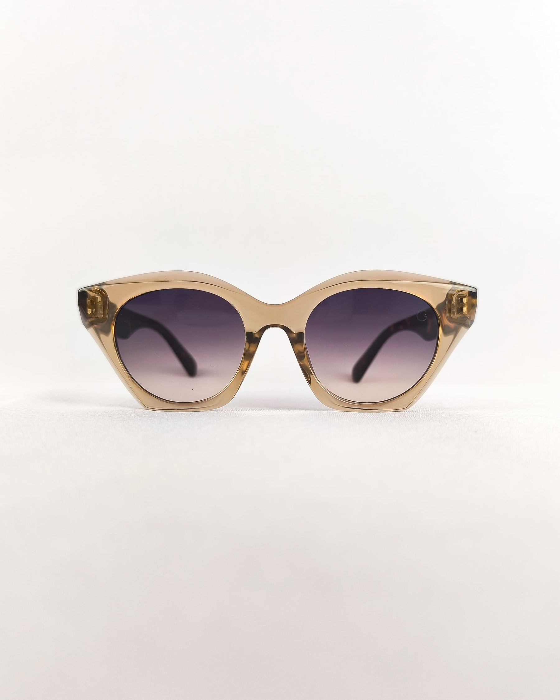 Óculos de Sol Feminino Gatinho em Acetato Translúcido Azul e Marrom Premium - Gloss Eyewear